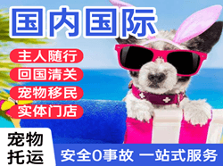 宜宾五粮液机场快递国际宠物托运 【国